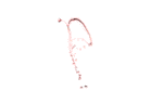oleo-rosas_optimized